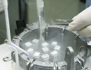 利用超低温冷藏技术，将精液冻存在精子库专用液氮罐中，-196℃保存(图1)